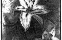 A’s Drawing
