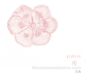 Wisdomswebzine-A-drawing