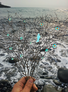 Fish Tree